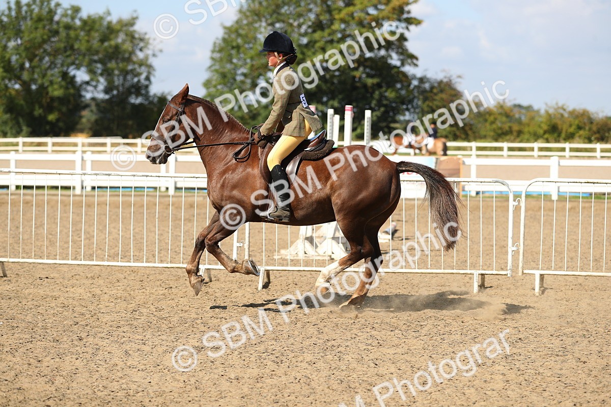 SBM_03157 - Class 44 Riding Club Horse/ Pony