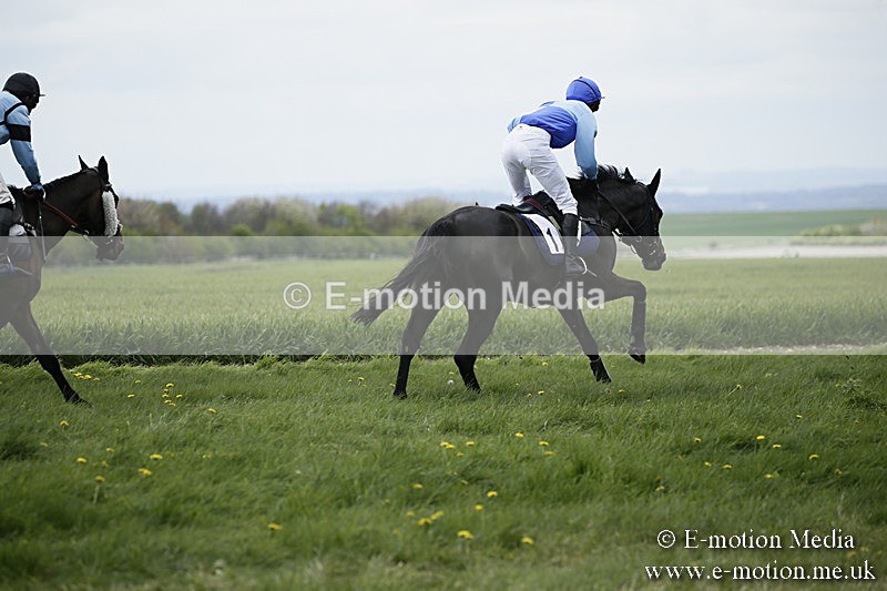 PtP 170417 104 - Old Berks Point-to-Point Lockinge 17/04/17