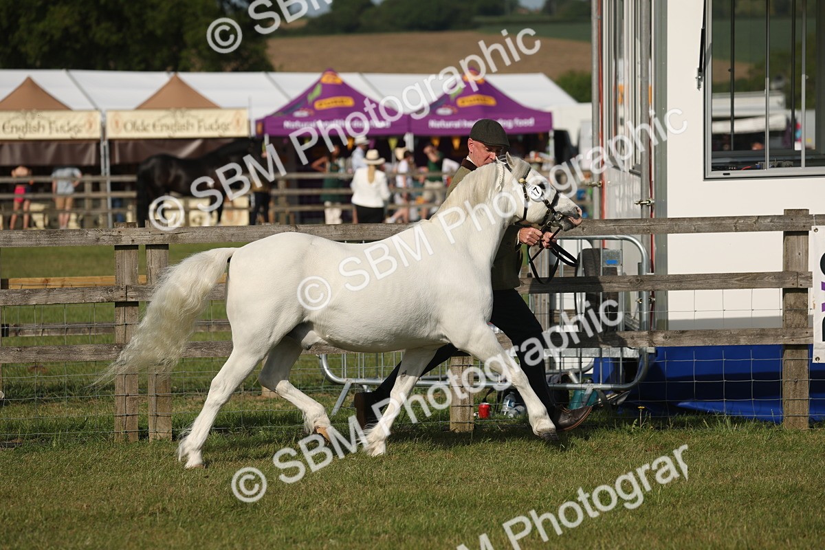 SBM_10342 - Class 33-38 - SSADL RIHS Qualifiers