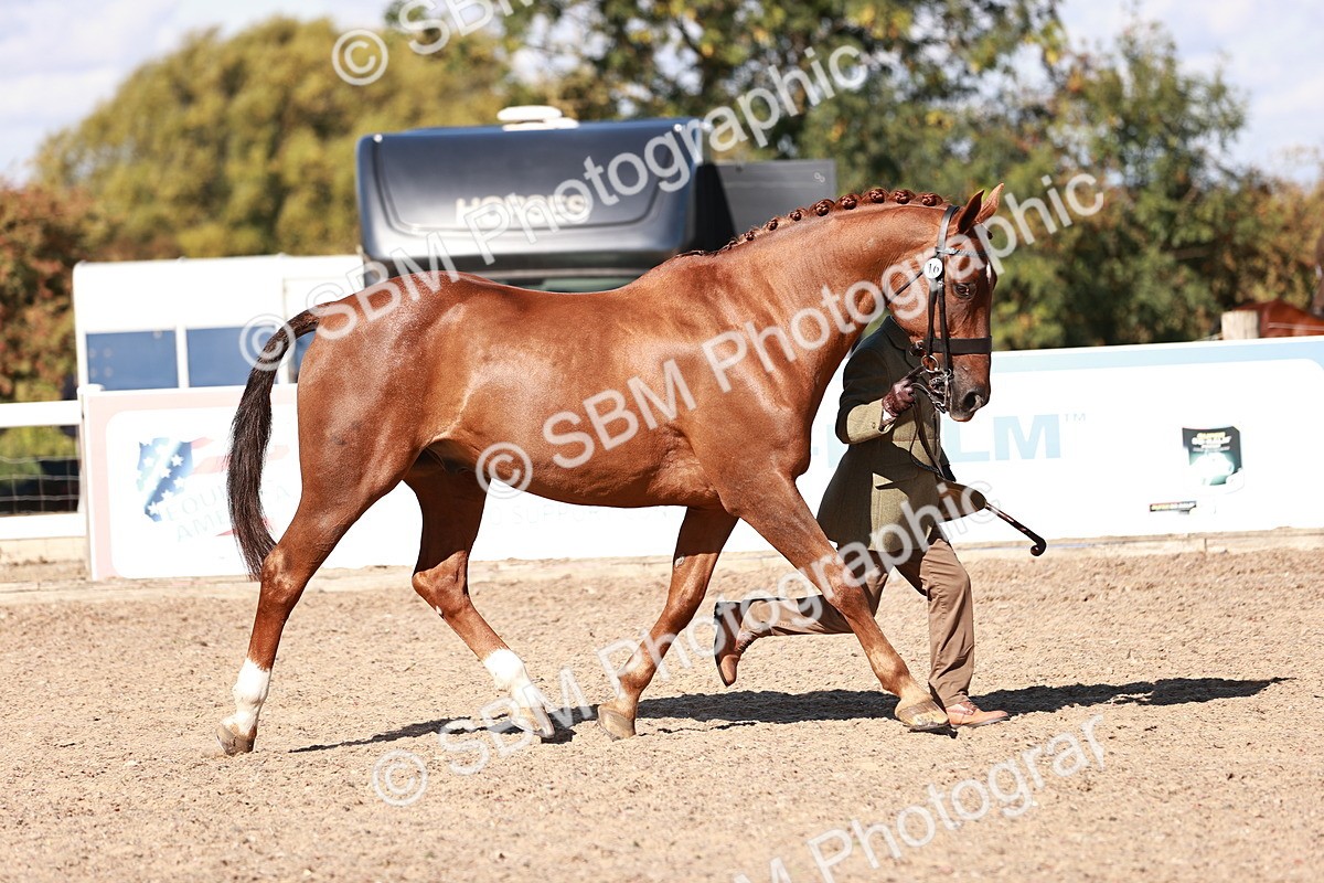 SBM_13321 - class 406 - IH Hunter
