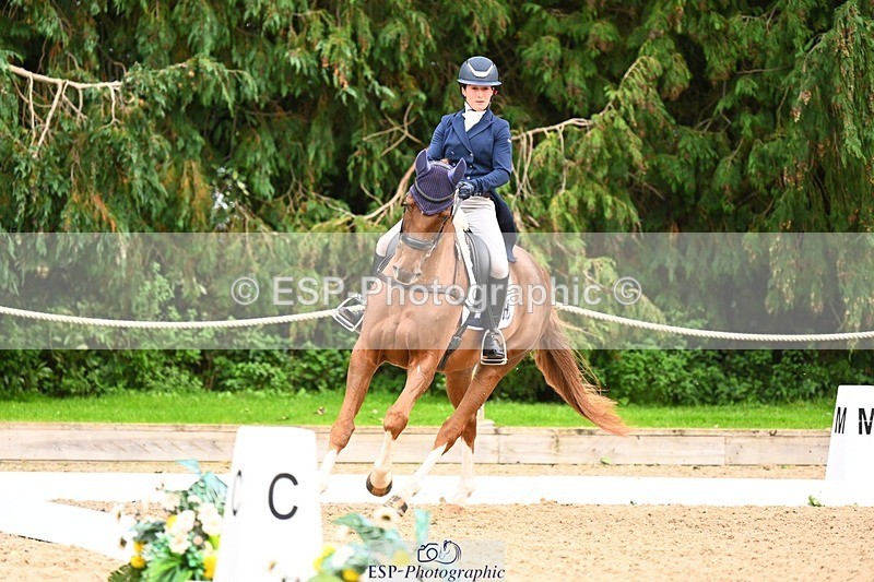 231020-153049-11845 - 213-MGH.HILDARE.HARLEQUIN-Danielle.Mccormack-DR