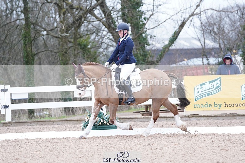 250214-094540-00061 - 167-Willow.Tarrant.Clark-Ashgrove.Wendi