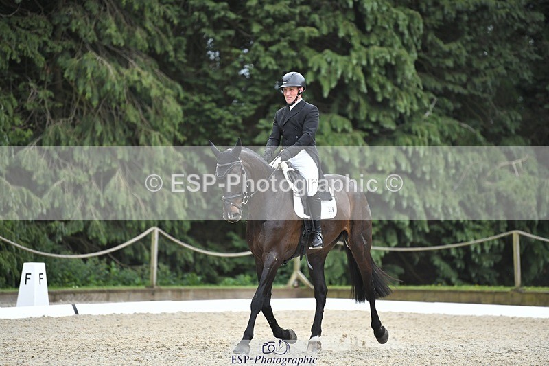 230525-141703-03122 - 319-RINGFORT_REVE_DU_MOULIN-Andrew_Downes-WEDTrotUp+DR