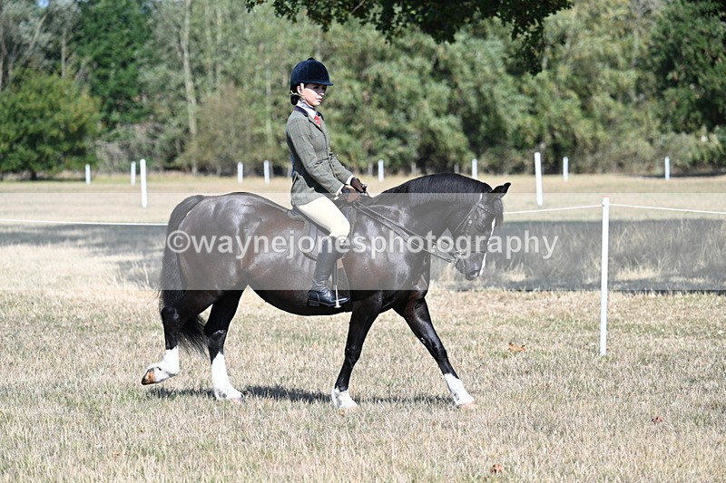 WJ7_3447 - Class 9 Mountain & Moorland Ridden