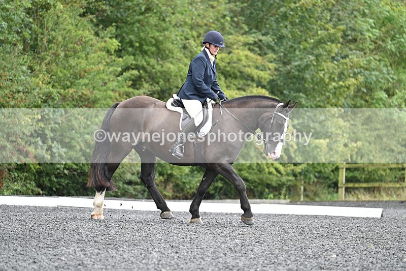 WJ7_0587 - Time 12:36 to 13:13