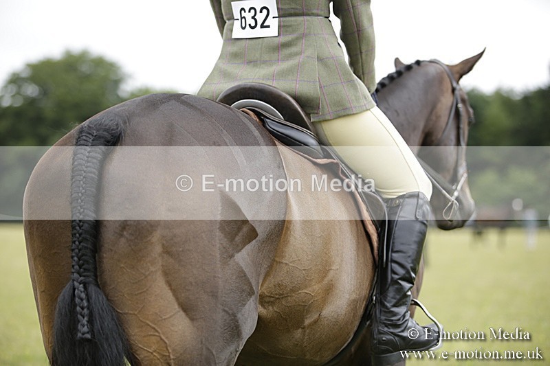 BVR160717-460 - Ring 1 BVRC Show 16/07/17