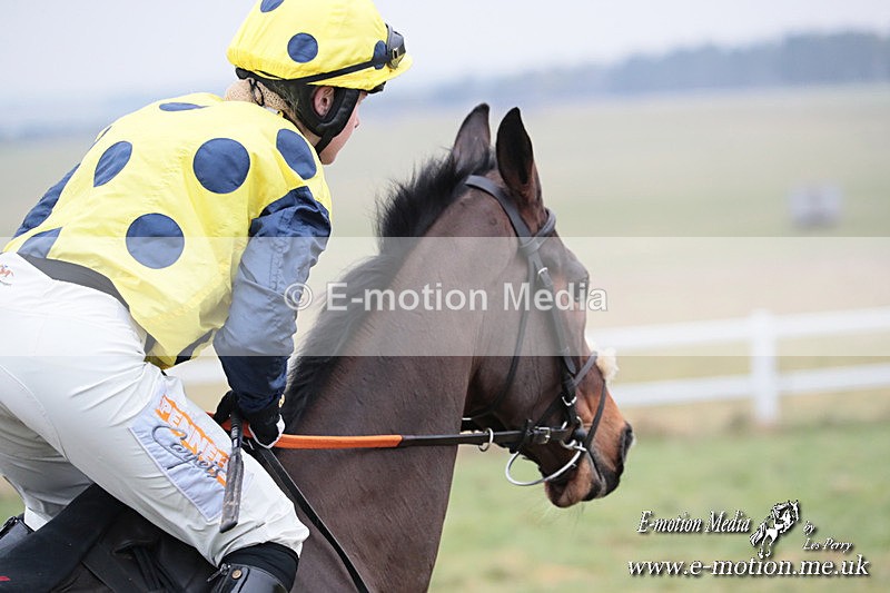PtP 160225 473 - Combined Service Point-to-Point Races Larkhill 16/02/25
