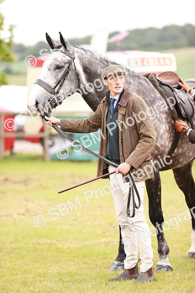 SBM_10950 - Class 81-84 - RIHS Ridden hunters Inc Ladies Hunter