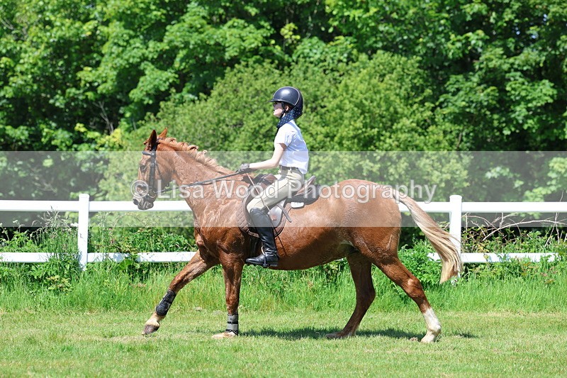 3E7A7131 - Class 30: Novice Working Hunter
