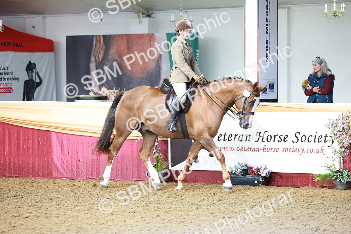 SBM_11962 - Class 102 - Equitation (Best Rider) Adult