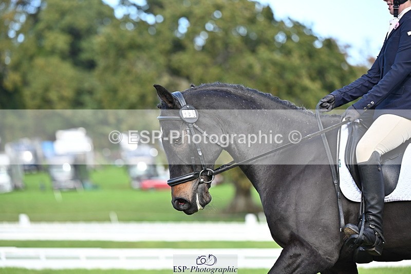 251024A-141211-12359 - D-369-Rosie.Moreton