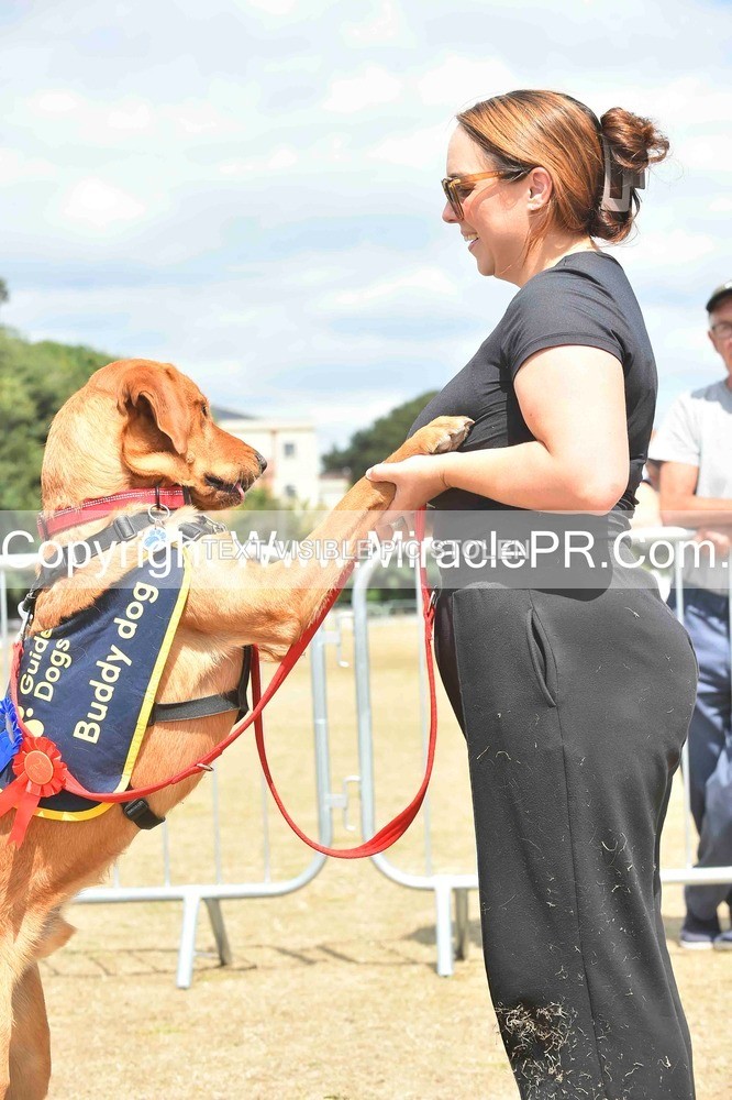 SH4_0274 - Dog show.
