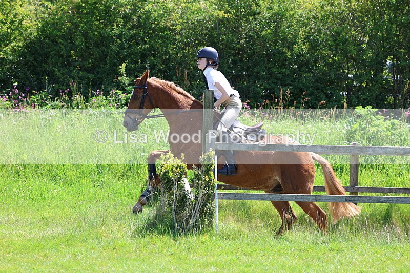 3E7A7120 - Class 30: Novice Working Hunter