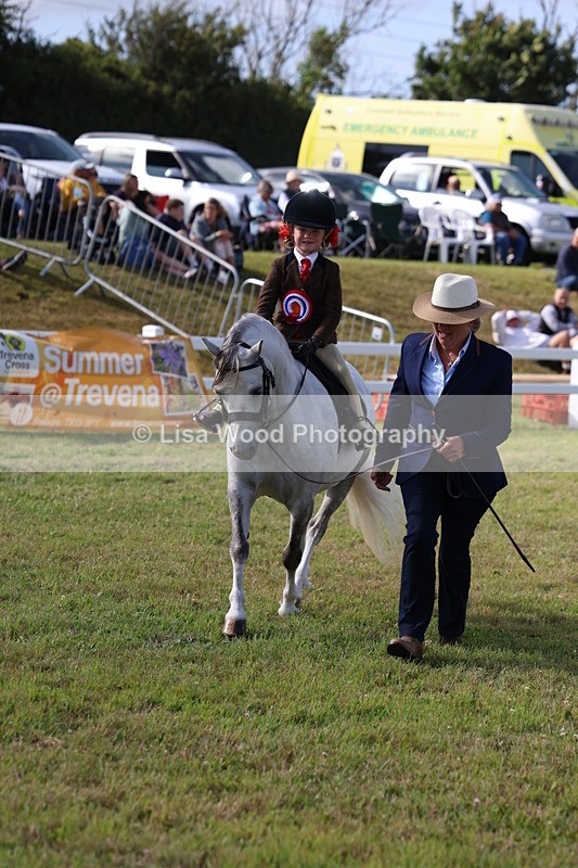 3E7A3931 - Supreme Championship