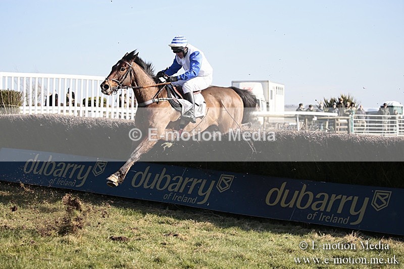 PtP 240218 401 - Vine & Craven Hunt Point-to-Point Barbury racecourse 24/02/18