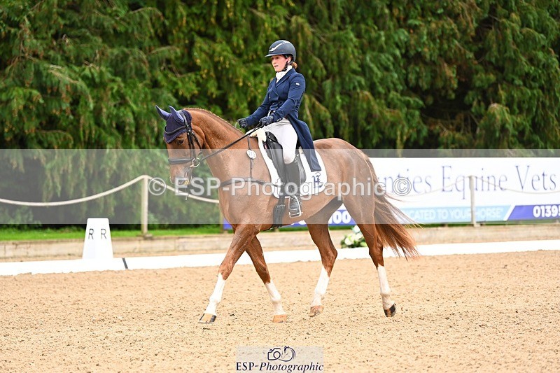 231020-152832-11836 - 213-MGH.HILDARE.HARLEQUIN-Danielle.Mccormack-DR