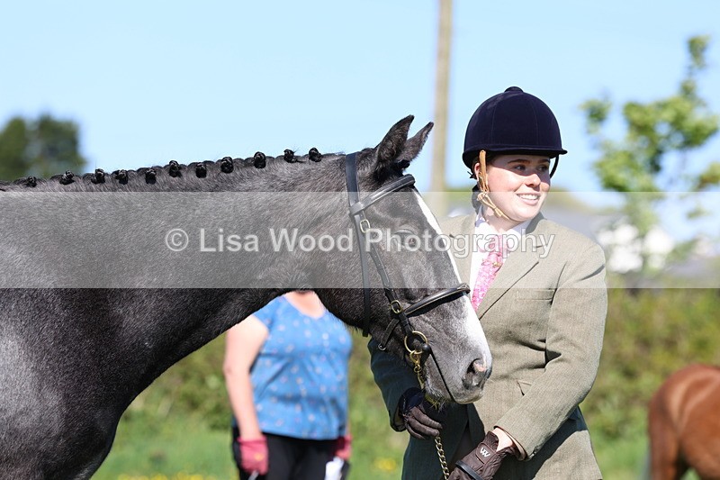 3E7A9061 - Class 15: Two/Three Year olds