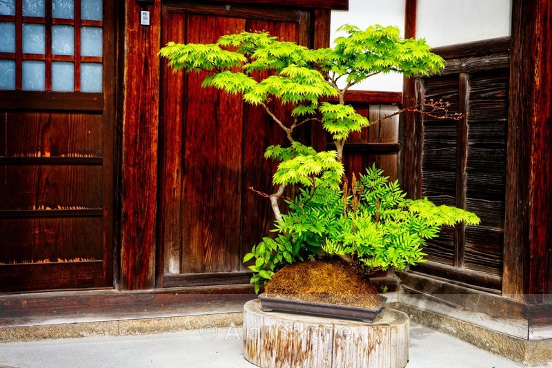 DSC05164 - Takayama