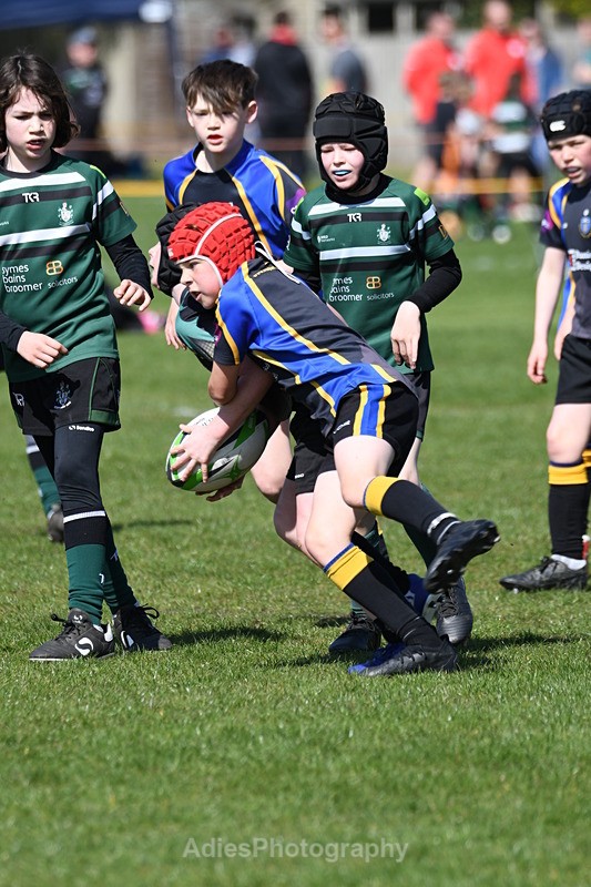  - Selby Rugby Festival 2025