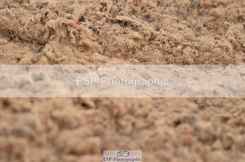 230630A-170328-03551 - Cls 4 Prelim 18