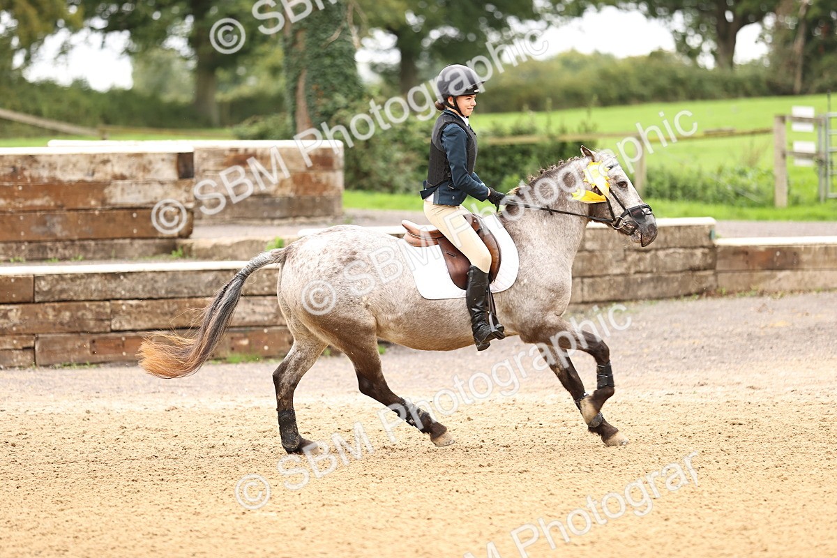 SBM_66763 - J17 - Junior Pony 80cm Championship