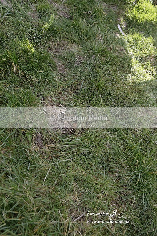 PtP 290123 0875 - Combined Services Point-to-Point  Presentations 05/02/23