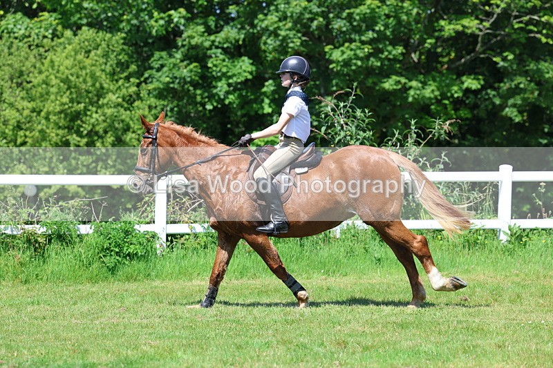 3E7A7129 - Class 30: Novice Working Hunter