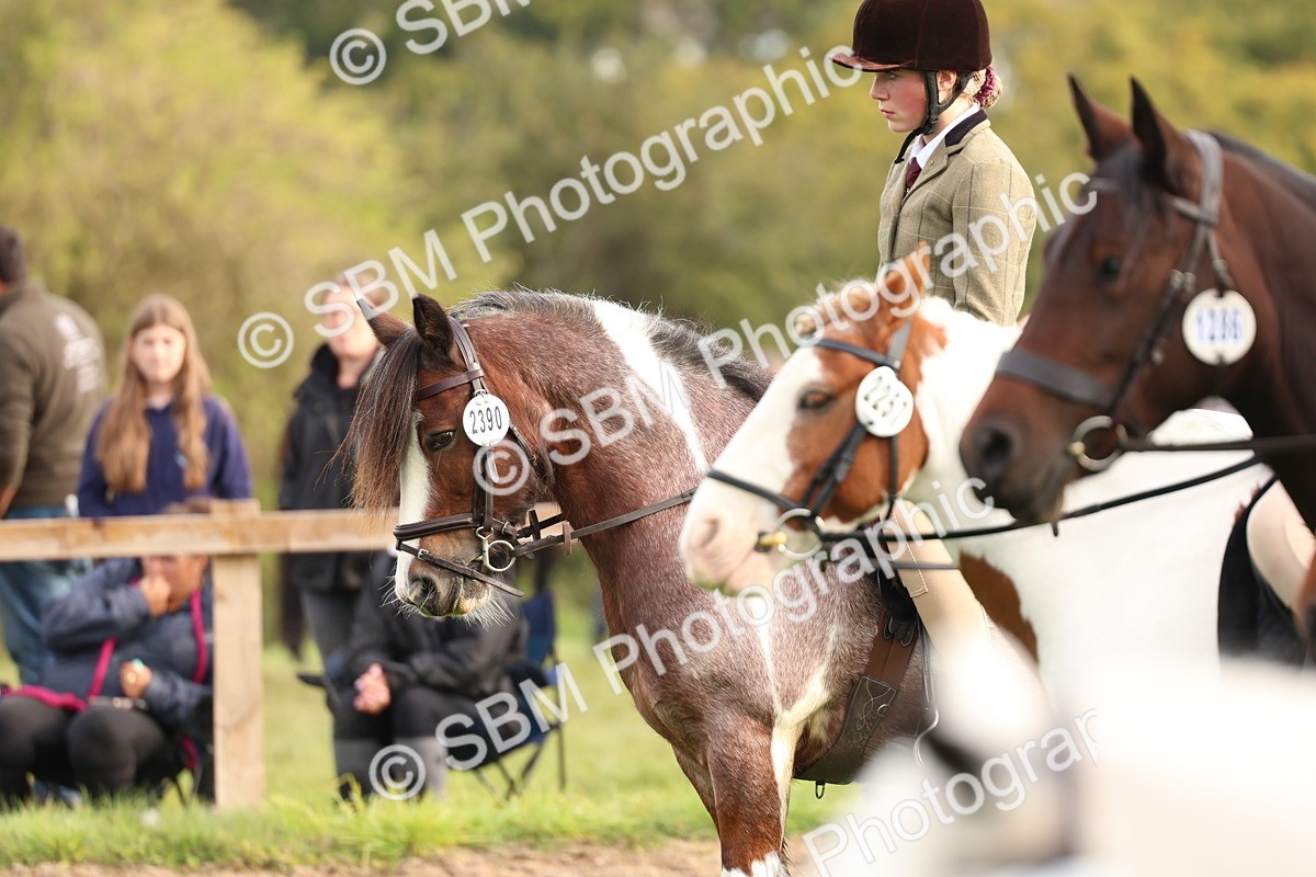 SBM_56645 - S40 - Starters Ridden Showing