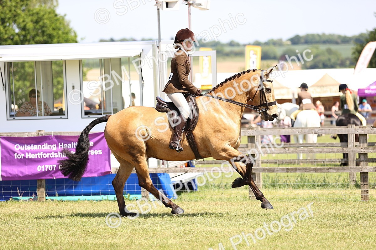 SBM_15155 - Class 79-80 - LIHS BSHA Rising Star Ridden Hunter