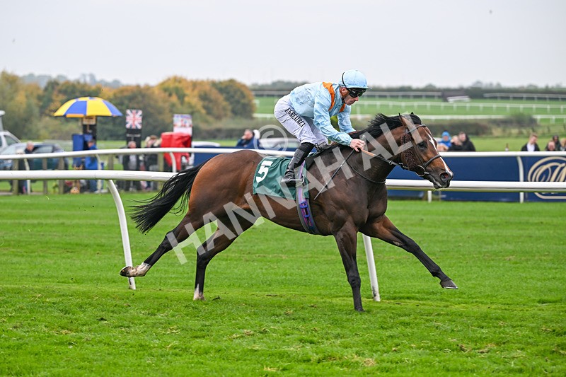 181025-Race 7-Lexington Blitz-1391 - Race 7