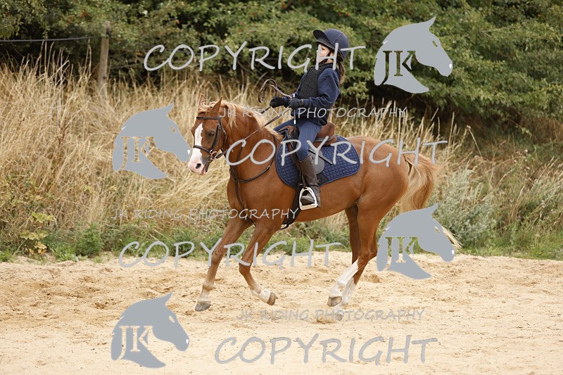 _R6A0986 - Sand arena