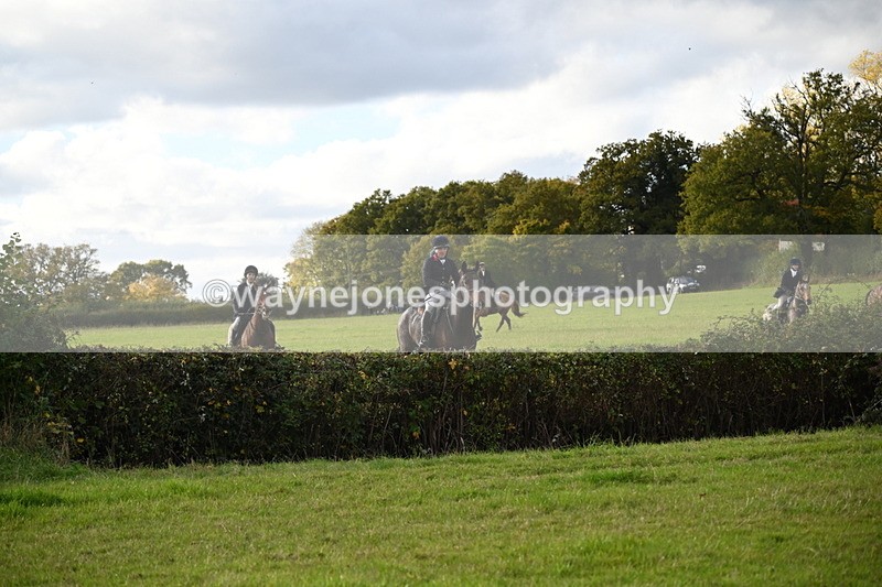 WJ6_5579 - Camera 1