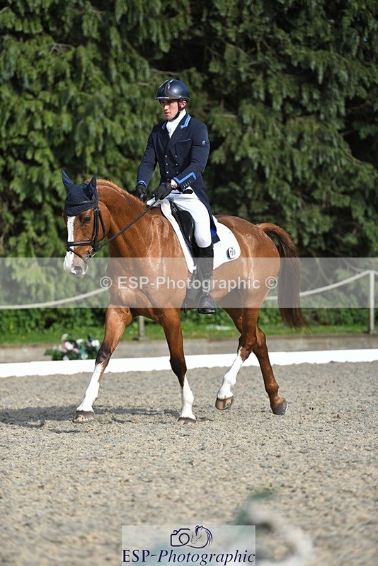 230525-175012-03614 - 131-FORTSIDE_COBRA-Freddie_Carden-WEDTrotUp+DR