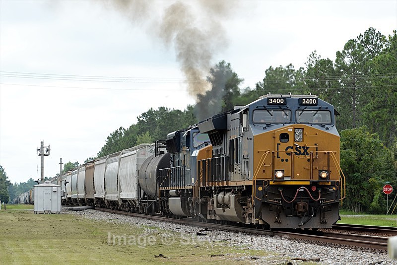 9th Aug 2017 - Folkston Funnel, GA