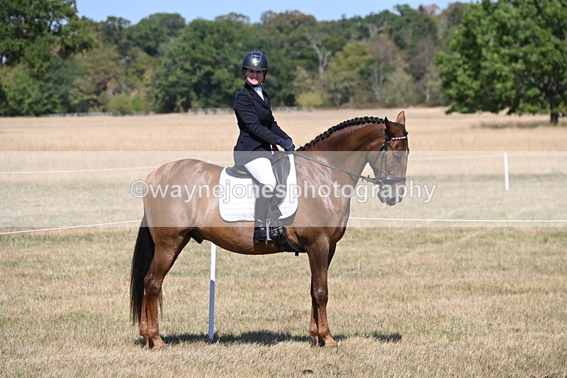 WJ6_9169 - Championship Classes 33-38