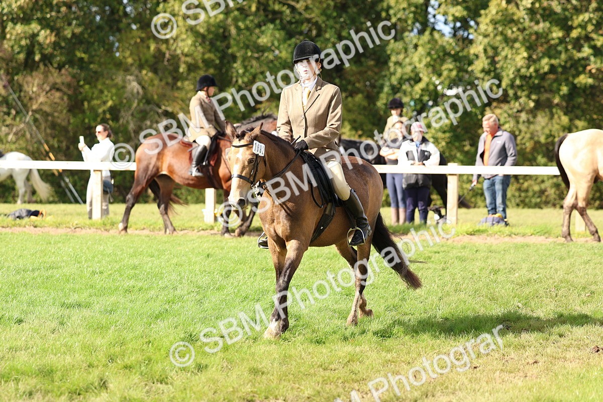 SBM_47846 - S28 - Veteran Ridden