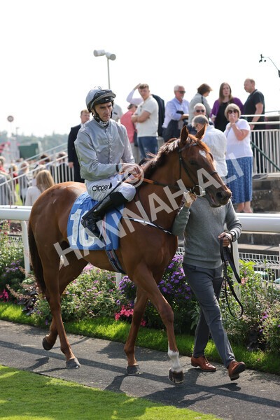 yr05092021r1-15 - Race 1 2.10pm IRE-Incentive It Pays To Buy Irish ebfstallions.com Novice Stakes