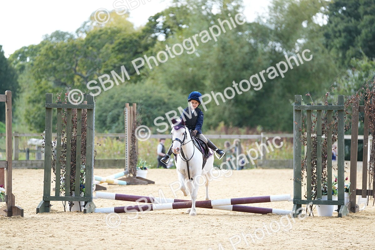 SBM_64622 - J2 - Mini Tour Junior Pony 30cm Championship