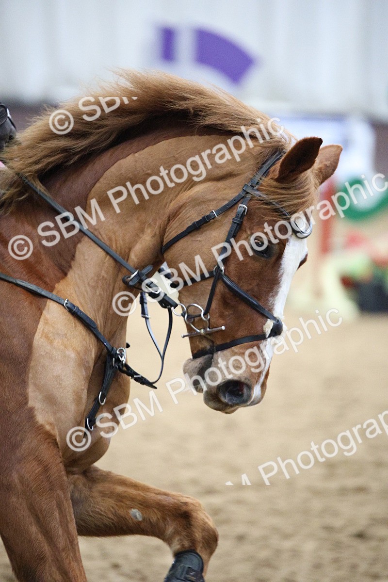 5K7A3365 - Class -1 - Equissage Pulse Senior BritiNovice/ 90cm Open