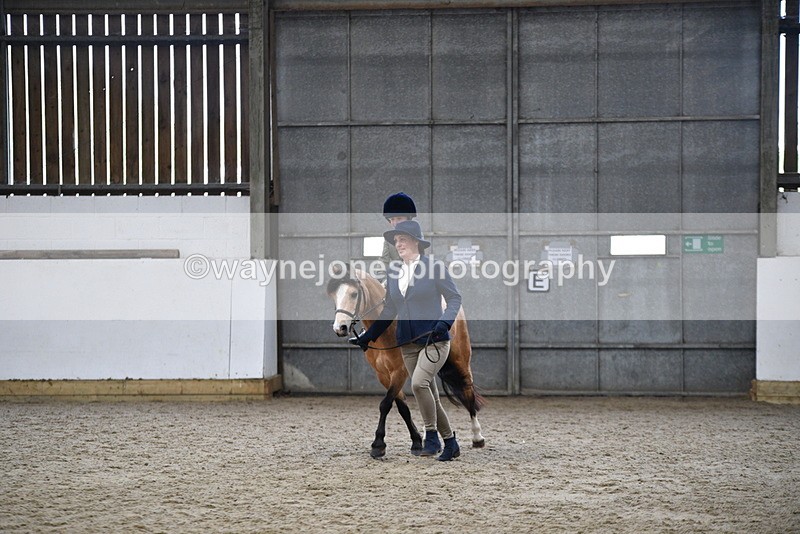 WJ5_6729 - Class 10 Childs Pony