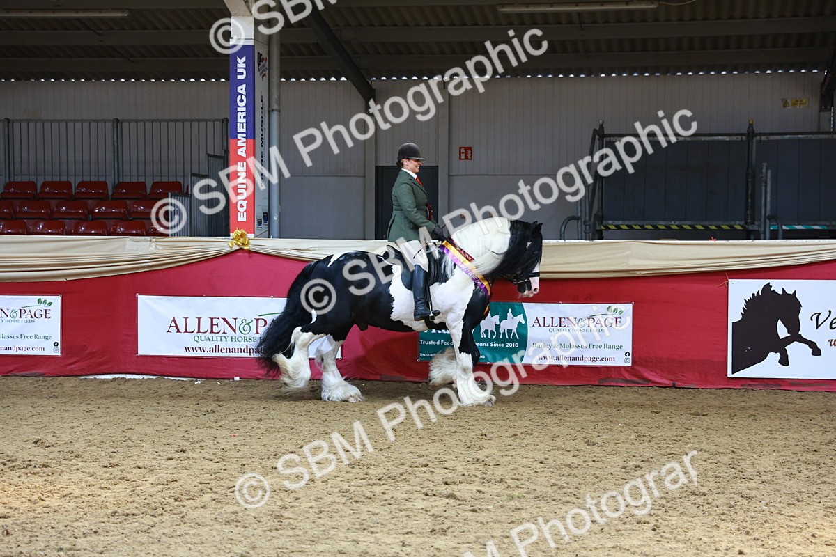 SBM_12812 - HOYS Veteran Qualifier - Ridden Champ