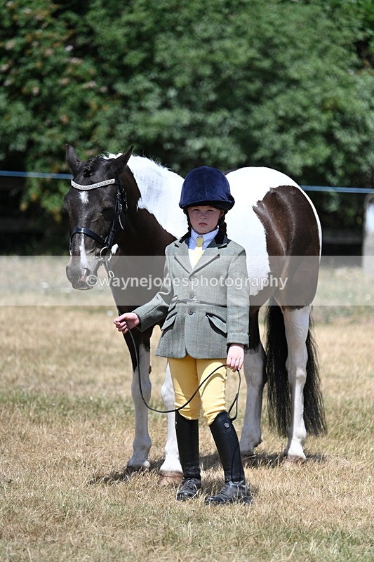 WJ7_2190 - Class 5 Most Handsome Gelding (up to 14.2hh) in hand