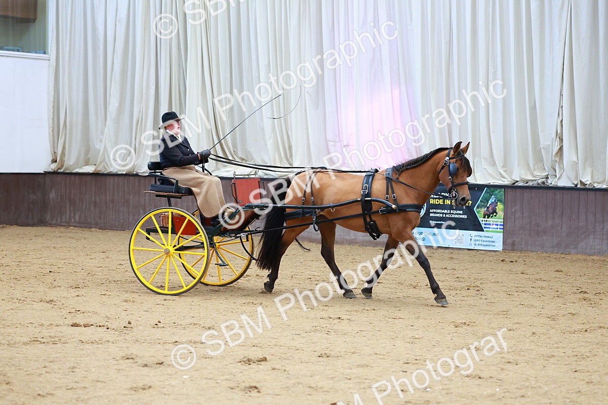 SBM_001055 - Class 15 - Open Showmans Class