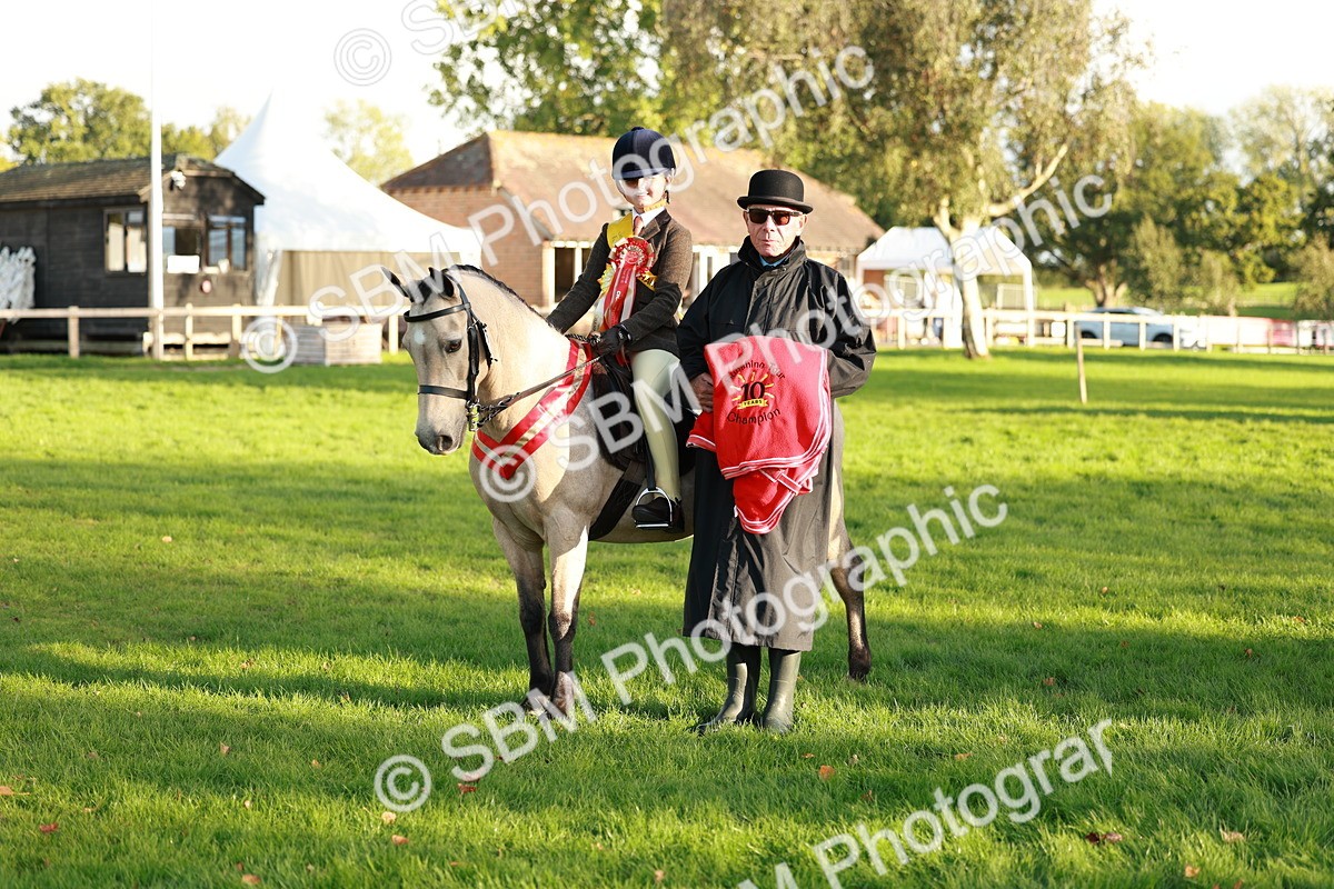 SBM_29329 - Novice & newcomer Supreme Championship