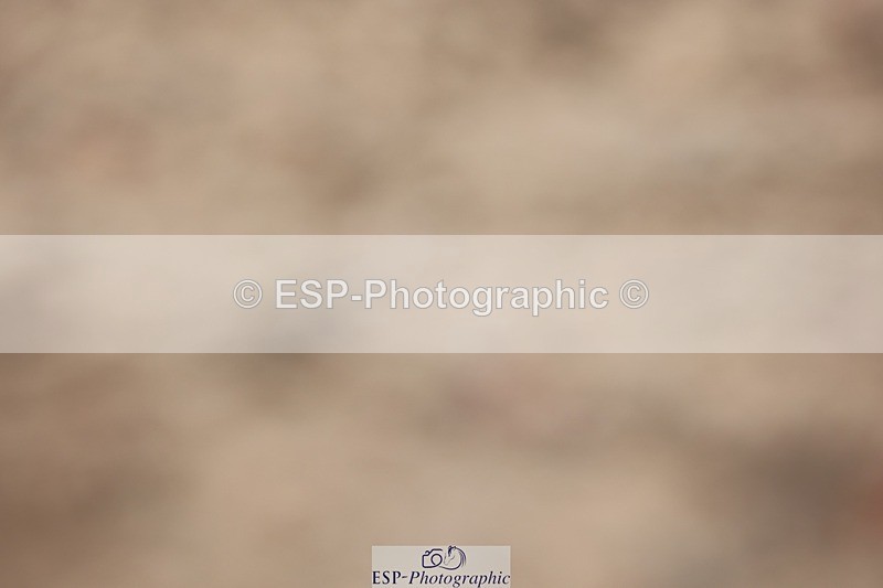 250621-121602-08950 - Cls 37 - Freestyle Adv Medium