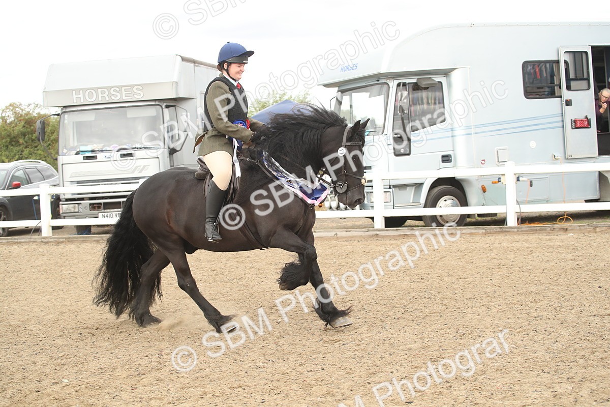 SBM_16715 - Class 507a - Working Veteran - 60cm (15-19)