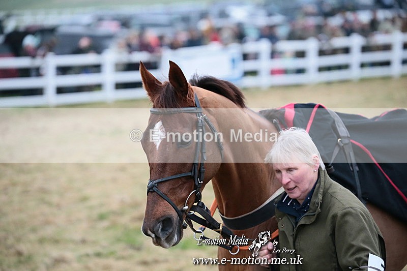PtP 261123 311 - Hursley Hambledon Point-to-Point Larkhill 26 Nov 2023