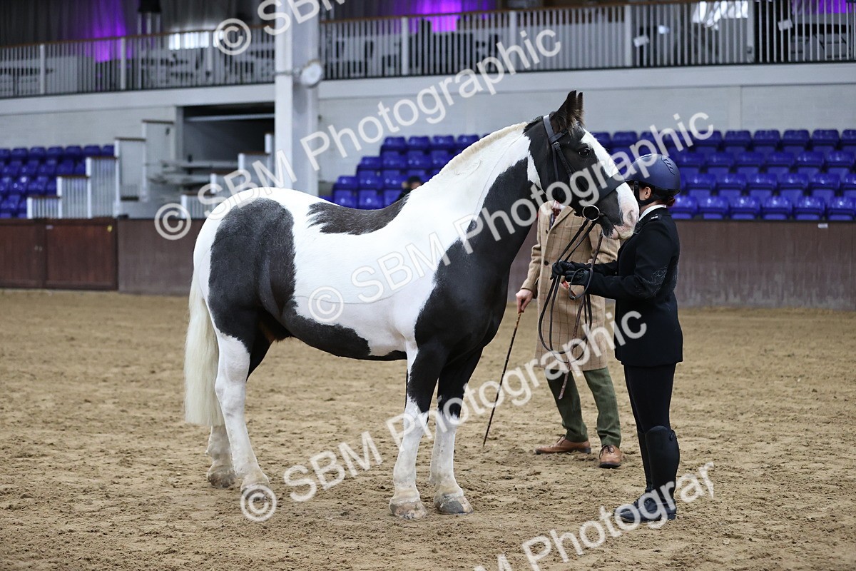 SBM_5282 - Class 32 - In Hand Cob Type