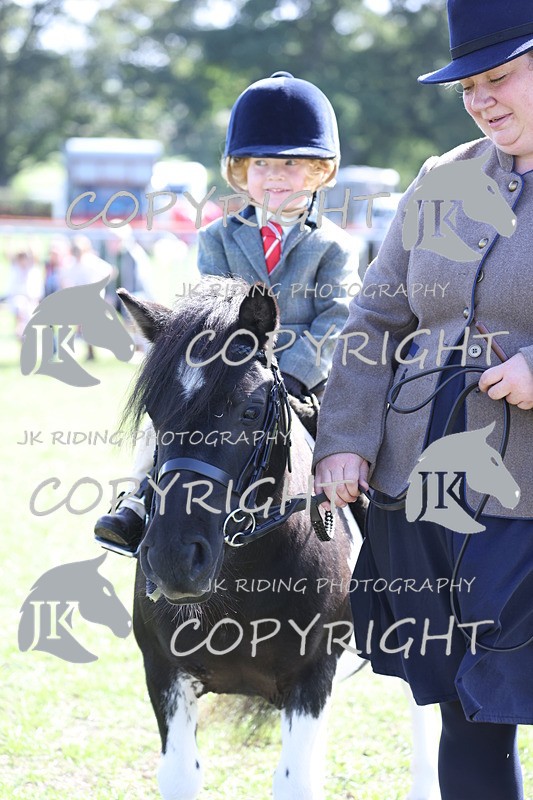 APP_3878 - Class 13 Lead rein