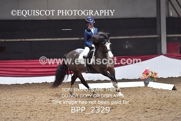 BPP_2329 - 30 - C SAUNDERS